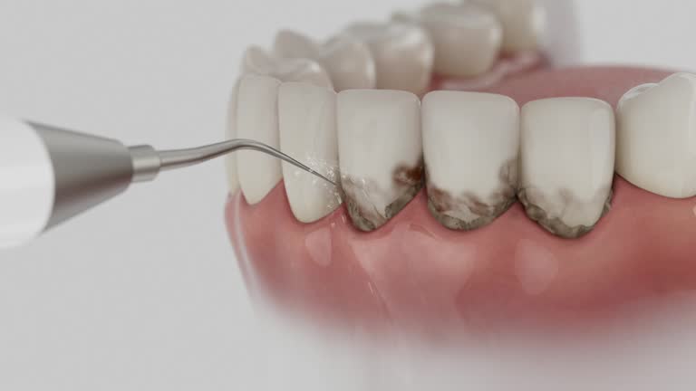 Reliable Dental contractor in Maysville, GA by Dentist Open Now